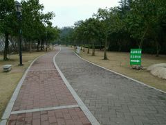 -野狸岛