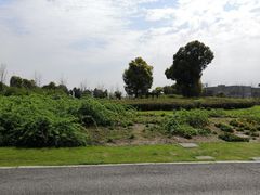 -九里河湿地公园
