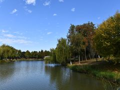 -尚贤河湿地