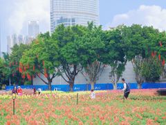 -海心沙亚运公园