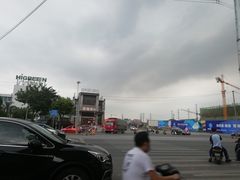 -海吉星市场