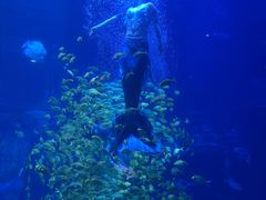 -太平洋海底世界