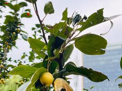 -元大都城垣遗址公园