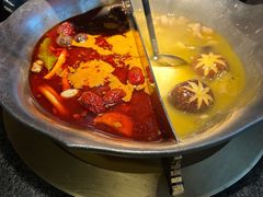 台式麻辣花胶鸡鸳鸯锅-湊湊火锅·茶憩(世博大道店)
