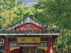 -顺峰山公园