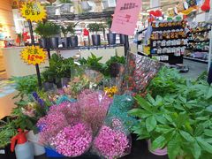 -百安居装修建材卖场(泰然店)