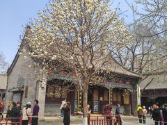 -护国法轮寺