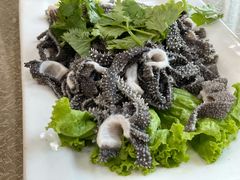 -杨记小骨头羊杂馆(南五马路店)