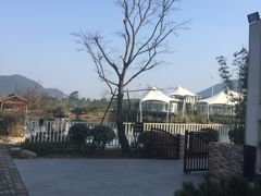 -帐篷客·溪龙茶谷度假酒店