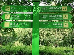 -长白岛森林公园