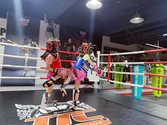 -TFC 纯泰拳馆MuayThai