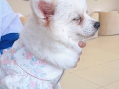 -怪兽屋·羊驼·猫咖·狗咖(俊华广场店)