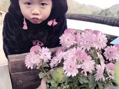 -远山有窑