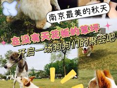 -钟山体育运动公园