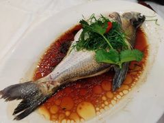 -有腥气私房菜·寻味顺德