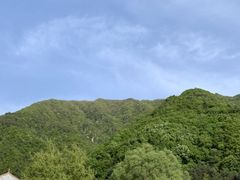 -王顺山国家森林公园