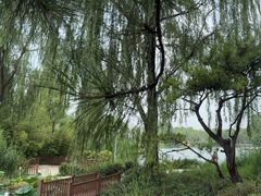 -海淀公园