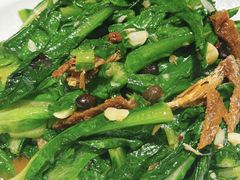 豆豉鲮鱼油麦菜-潮十三潮汕砂锅粥(高新四路大都荟店)