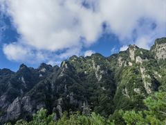 -王顺山国家森林公园