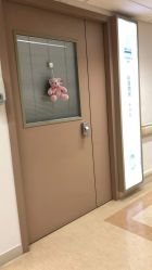 -杭州贝瑞斯美华妇儿医院·早孕·产检·儿科