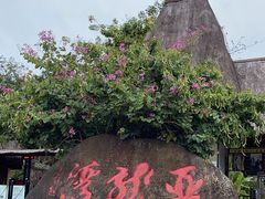 -亚龙湾热带天堂森林公园