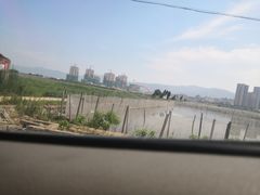 -北岐滩涂