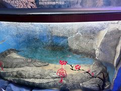-大明湖海底世界