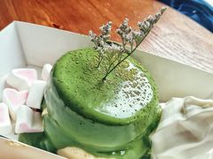 -狐狸和向日葵(北京路店)