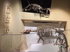 -国家自然博物馆