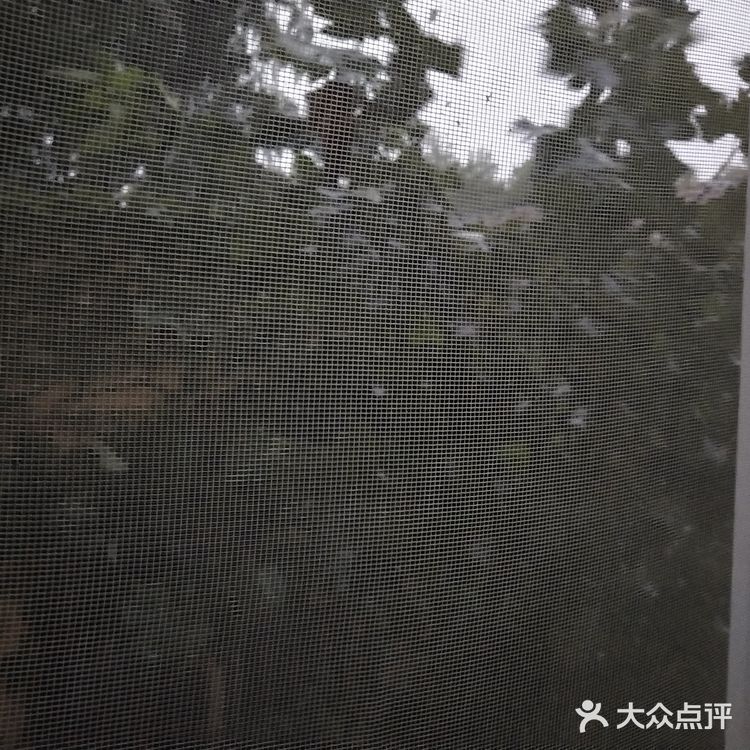 牛肉分量很足！好吃好吃好吃