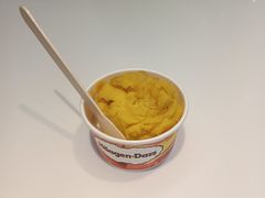 -哈根达斯(武汉天地店)