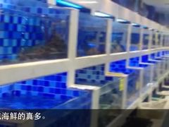 水产区-渔家海鲜舫(宝湖路店)