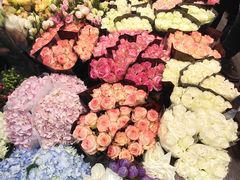 -双季花艺园艺市场(浦东店)