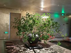 -隐溪茶馆(静安寺店)