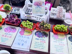 -马陆小张葡萄园农家乐