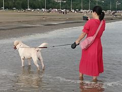 -珠海金沙滩