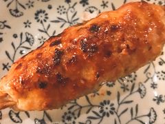 鸡肉丸子-串鑫