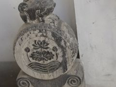 -东方巨龟苑景区