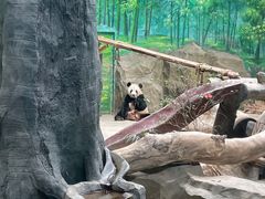 -灵玲国际马戏城