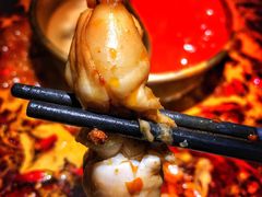 -新哥老官·畅吃123·美蛙世界(苏宁广场店)