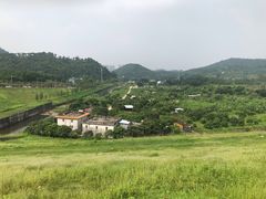 -清溪森林公园