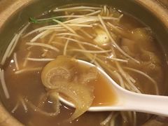 -大中鱼翅 Taitong Shark Fin