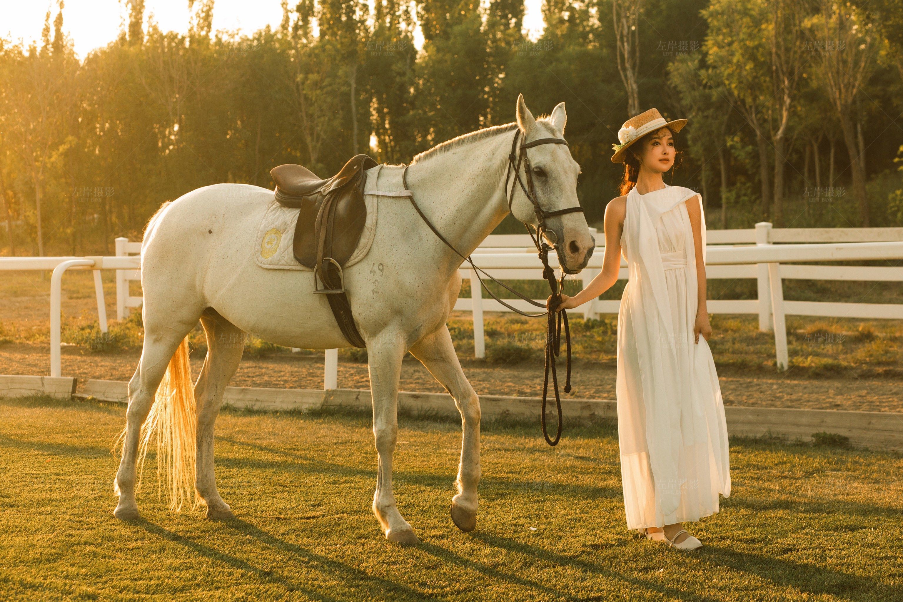 左岸   马场   写真