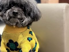 -星巴克(西安益田假日世界店)