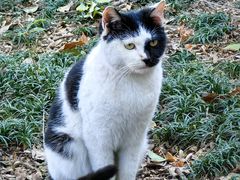 -上海佘山国家森林公园天马山园