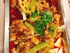 -蜀腾川·火锅鱼.烤鱼(新世界城店)