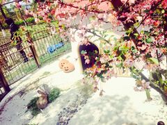 开心农场-上海滴水湖皇冠假日酒店