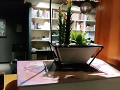 -梵猫·新养生(福州万象城店)