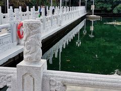 -荔枝公园(福田区)