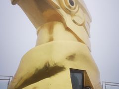 -大金鹰园